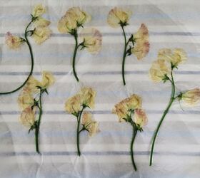 cmo prensar flores de 4 maneras diferentes, Guisantes dulces prensados con plancha