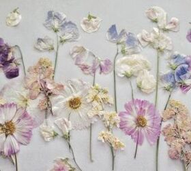 cmo prensar flores de 4 maneras diferentes, Flores prensadas con guisantes de olor cosmos y calabaza en un piso