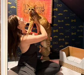 la mejor solucin para la caja de arena de un gato manso, Una mujer sostiene a un gato naranja