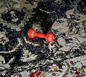 un fcil y elegante diy wireless wall sconce hack, El juguete para masticar del perro de Bentley en una alfombra en mitad de la noche