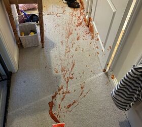 After her carpeted hallway got splattered with tomato sauce, she came up with a stunning fix
