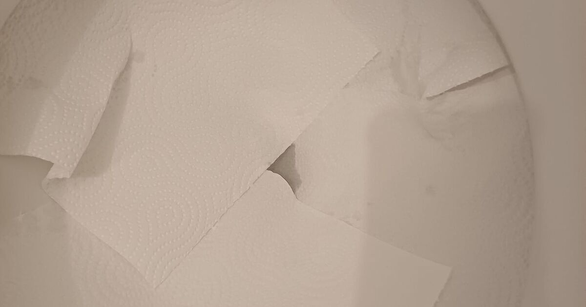 How To Get Rid Of Toilet Bowl Ring Stains Efficiently How To Get Rid Of Toilet Bowl Ring Stains Efficiently
