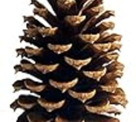diy hand dipped pinecone fire starters