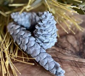 diy hand dipped pinecone fire starters, Dise os South House