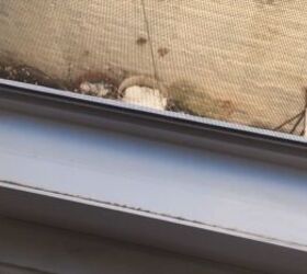 pour vinegar into your windowsill for an easy cleaning hack, Clean window sill