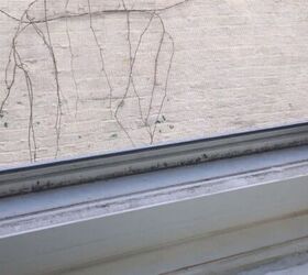 pour vinegar into your windowsill for an easy cleaning hack, Dirty window sill with mold