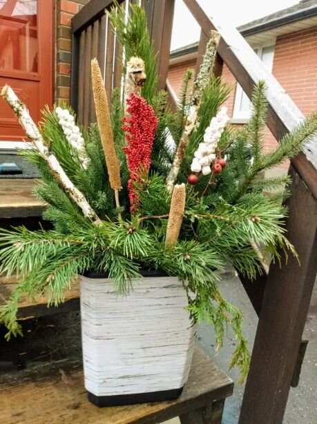 Birch bark winter planter