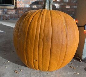 calabaza de otoo duradera y econmica