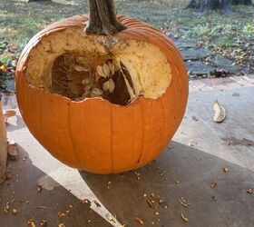 calabaza de otoo duradera y econmica