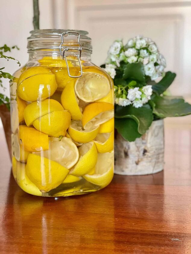 how to re purpose bad lemons into something useful, a jar of lemon rinds sitting on the kitchen counter