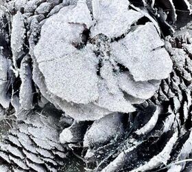 cmo hacer una corona de pias para que parezca un copo de nieve, Imagen de cerca de una flor de pi a hecha con p talos de pi a pintados y con purpurina