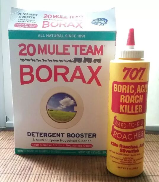how to get rid of carpenter ants, Borax and Boric acid
