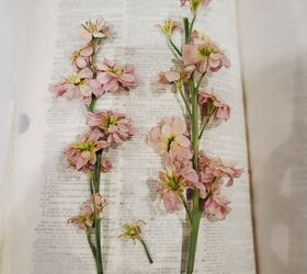 decorar cortinas con flores prensadas, Flores rosas en un libro listas para ser prensadas