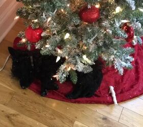 how to decorate a christmas tree, Using a blanket as a tree skirt