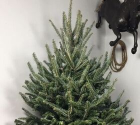 how to decorate a christmas tree, Plain Christmas tree