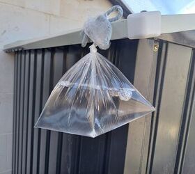 The Best Way to Keep Flies Away Revealed!