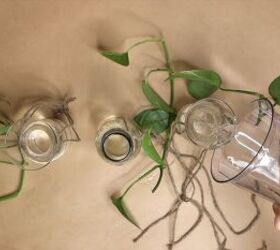 Fill glass vases with water