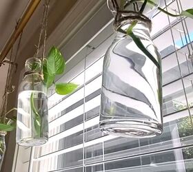 Hanging plants on a window