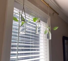 Propagate plants on a curtain rod