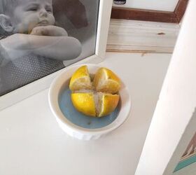 How to make your house smell amazing