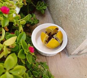 Naturally repel insects