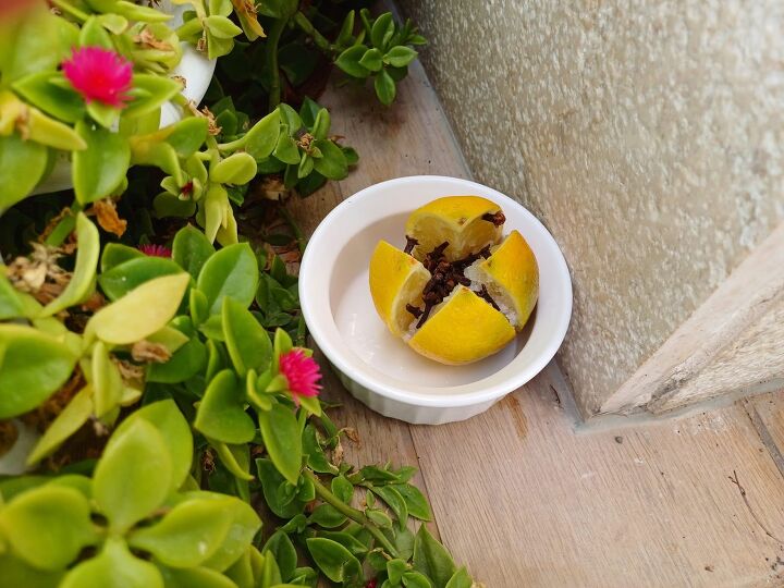 Naturally repel insects