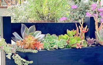 Succulent Planter Made From a Wood Pallet
