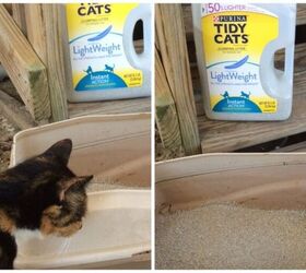 crear un comedero para gatos nico, Tidy Cat