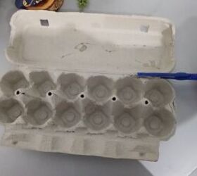 Cut an egg container