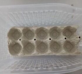 Clever uses for an egg carton