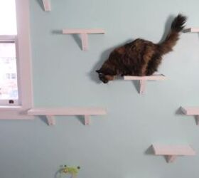 how to keep cats off counters, DIY cat run with high shelves