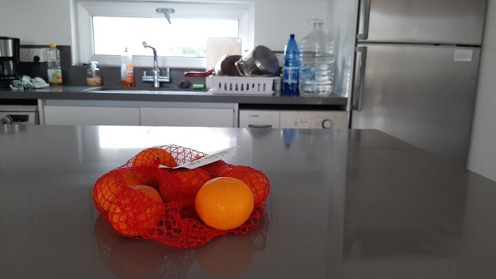 how to keep cats off counters, Oranges on the kitchen counter