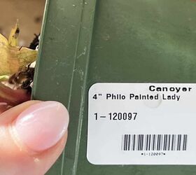 cuidado de la planta painted lady gua prctica completa, Una maceta de jard n con la etiqueta Phllo Painted Lady