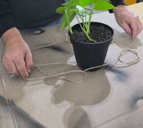 A clever technique to hang plants