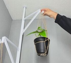 Hanging plant display