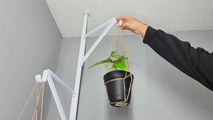 Hanging plant display