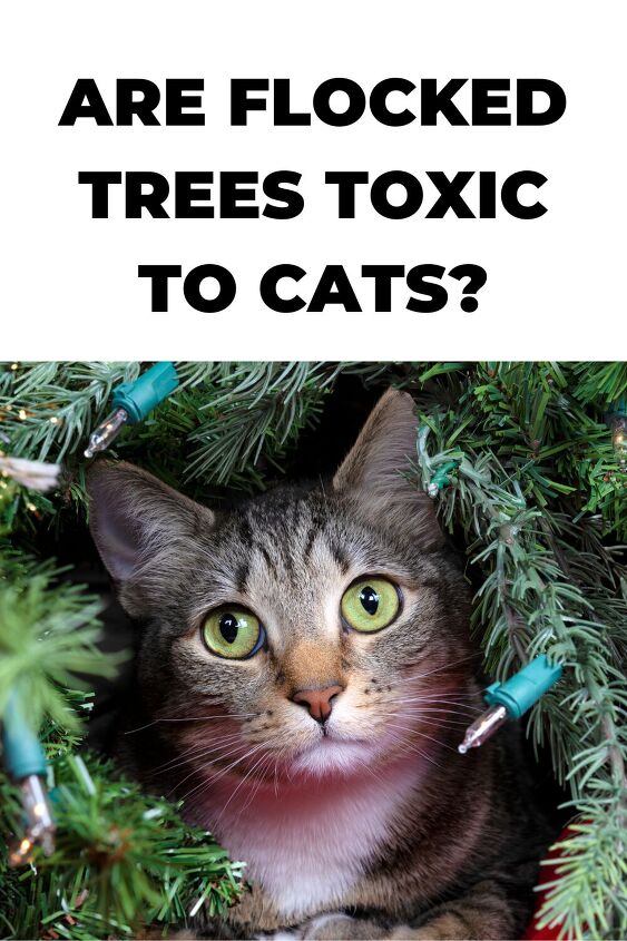 are flocked trees toxic to cats