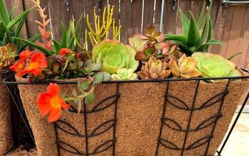 How to Create a Hanging Basket Using Coco Liners