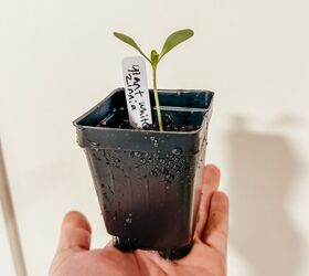 DIY Indoor Seed Starting - Part 1