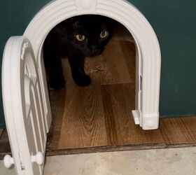 cmo instalar una puerta para gatos en una puerta de dormitorio