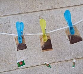 Hang your tea bags out to dry