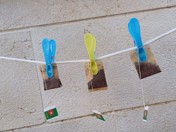 Hang your tea bags out to dry
