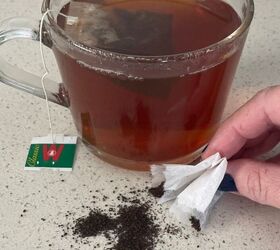 Used tea bags for plants