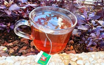 Tea Time for Plants: DIY Plant Fertilizer and Repellent Made Simple