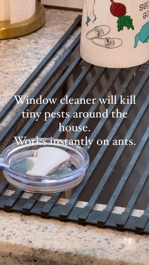 Using Windex to repel ants