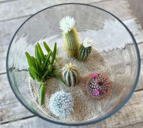 Cómo hacer tu propio terrario de cactus - A Life Unfolding