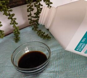 diy fruit fly trap