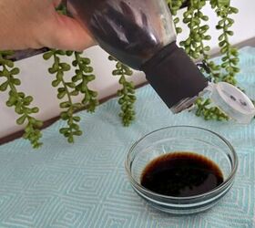 diy fruit fly trap