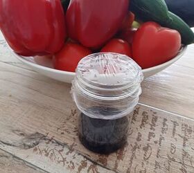 diy fruit fly trap