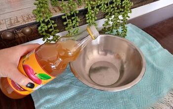 How to Make Homemade Apple Cider Vinegar Ants Spray